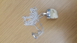 Ivory from locally hunted Elks